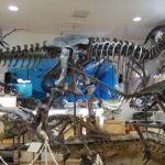Largest Complete T-Rex